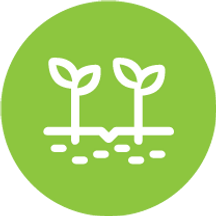 icon com fundo verde e plantas a branco